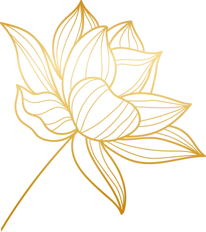 Lotus doré tracé fin (droite)
