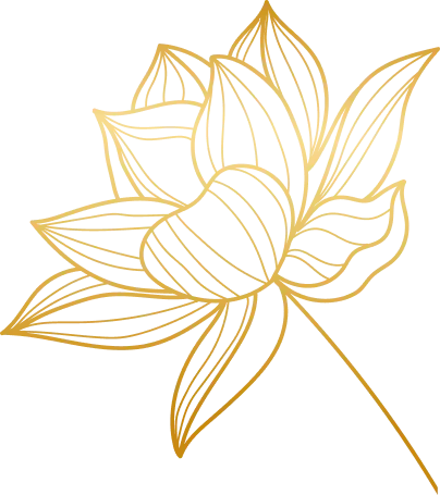 Lotus doré tracé fin (gauche)