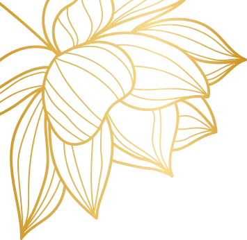 Fleur de lotus dessinée